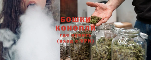 ГАЛЛЮЦИНОГЕННЫЕ ГРИБЫ Краснотурьинск