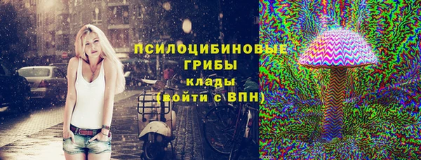 ГАЛЛЮЦИНОГЕННЫЕ ГРИБЫ Краснотурьинск