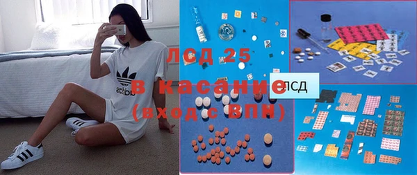 ГАЛЛЮЦИНОГЕННЫЕ ГРИБЫ Краснотурьинск