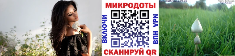 Псилоцибиновые грибы Cubensis  Купить  Полесск 